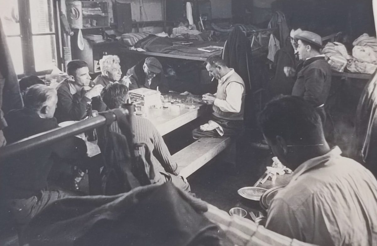 1958 — معتقل لودي