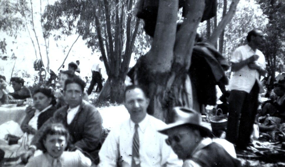 1950 — غالليناري افيك بيكوت "غراو" يت بيريتو (سورتيي دو بكا او كورسو)